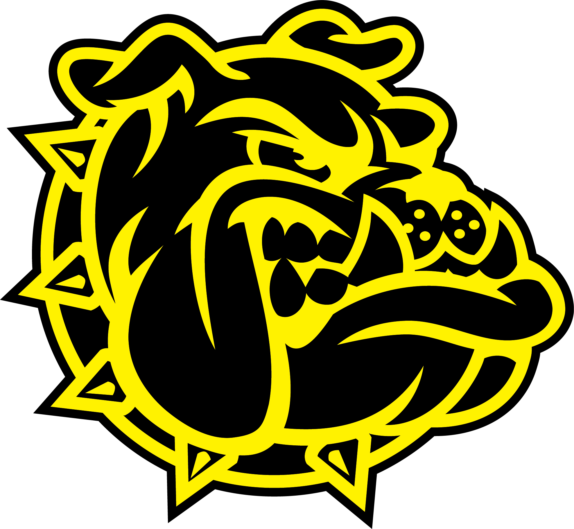 Team Logo Image