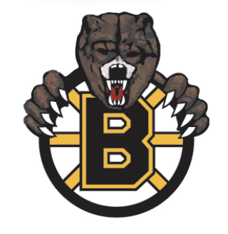 Team Logo Image