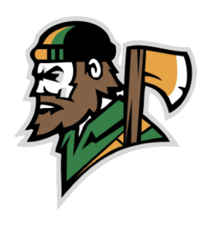 Team Logo Image