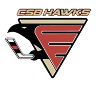 Team Logo Image