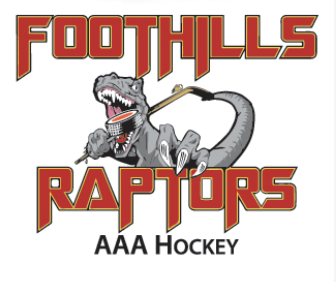 Team Logo Image