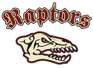 Team Logo Image