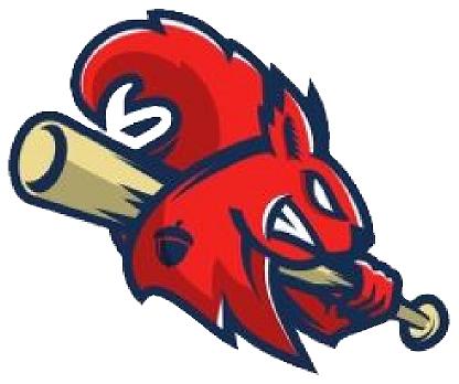 Team Logo Image