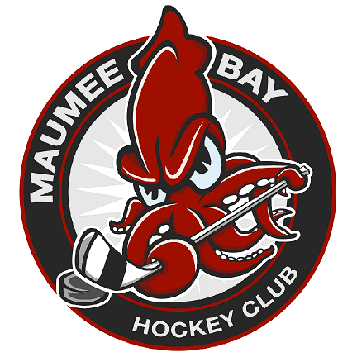 Team Logo Image