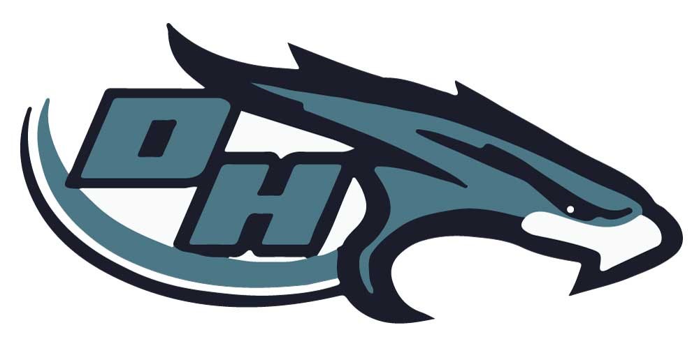 Team Logo Image