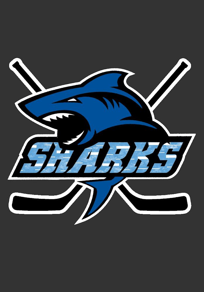 Team Logo Image