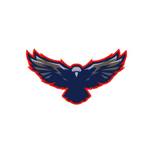 Team Logo Image