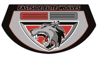 Team Logo Image