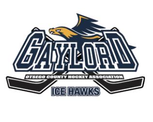 Team Logo Image