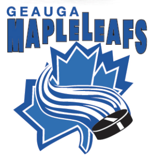 Team Logo Image