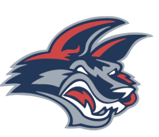 Team Logo Image