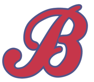 Team Logo Image