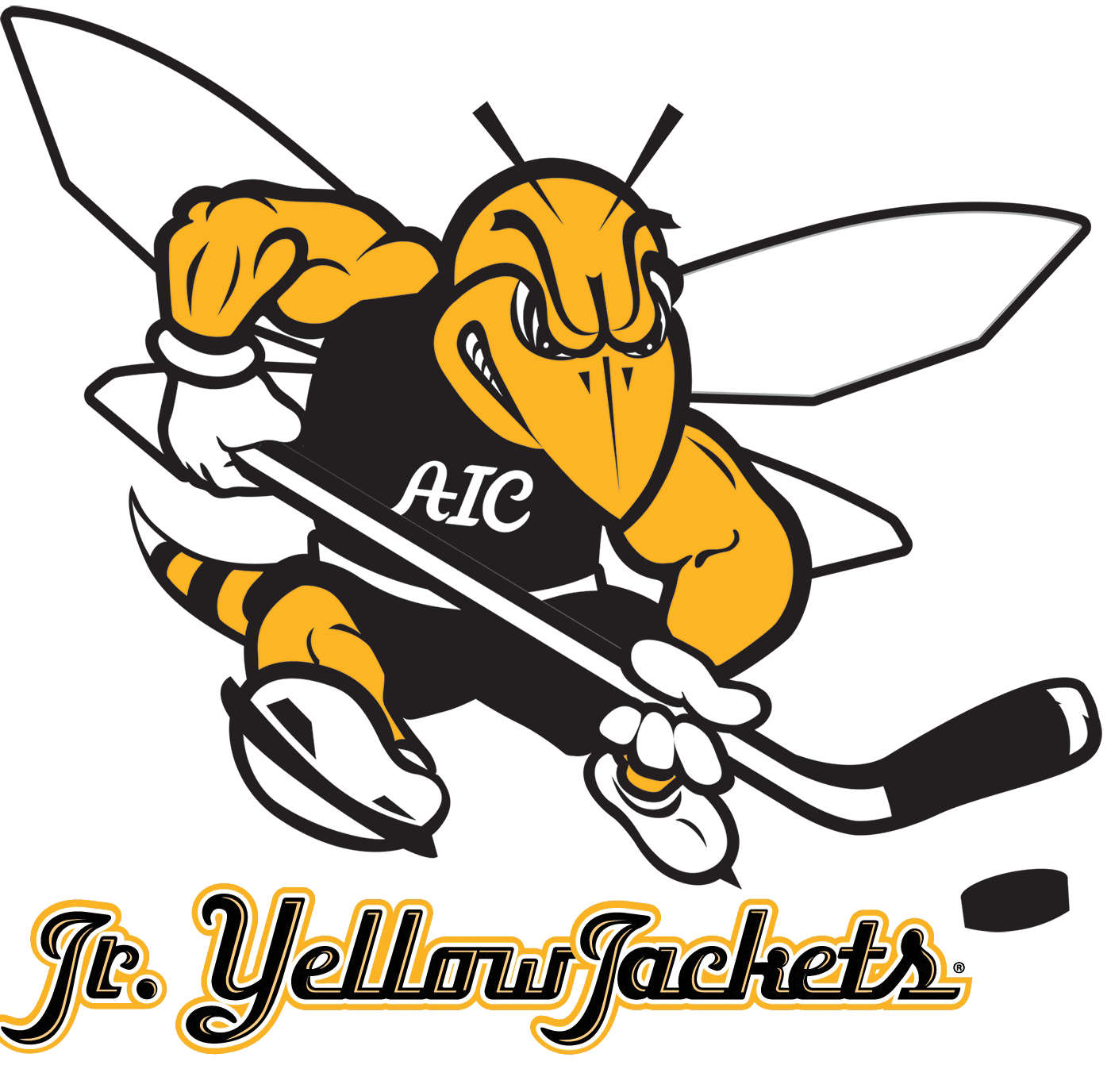 Team Logo Image