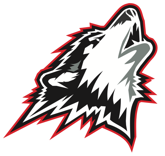 Team Logo Image