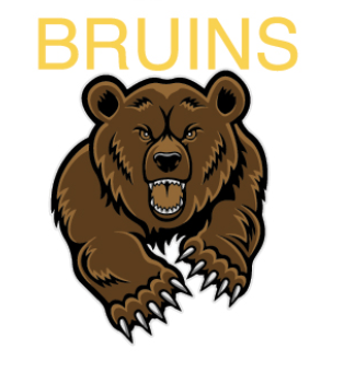 Team Logo Image