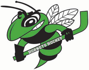 Team Logo Image