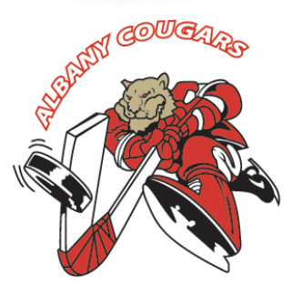 Team Logo Image