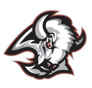 Team Logo Image