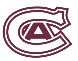 Team Logo Image