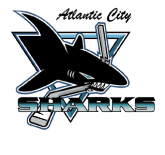 Team Logo Image