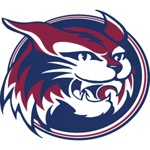 Team Logo Image