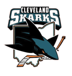 Team Logo Image