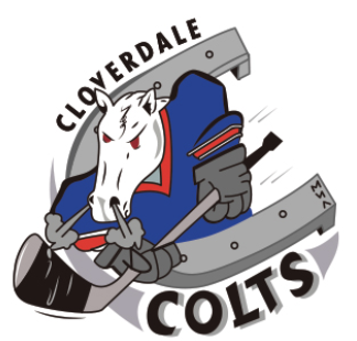 Team Logo Image