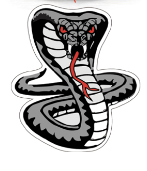 Team Logo Image