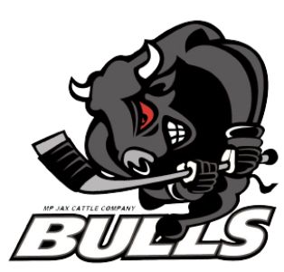 Team Logo Image