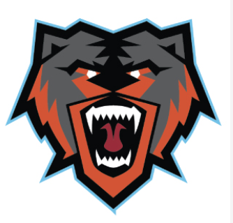 Team Logo Image