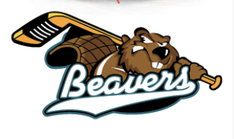 Team Logo Image