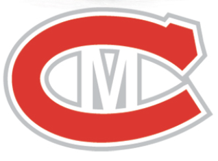 Team Logo Image