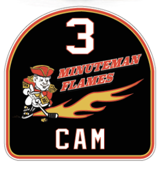 Team Logo Image