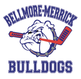 Team Logo Image