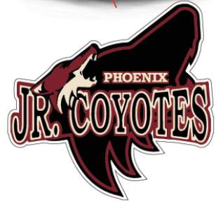 Team Logo Image