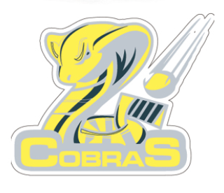 Team Logo Image