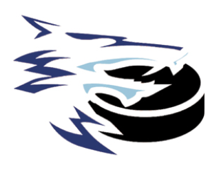 Team Logo Image