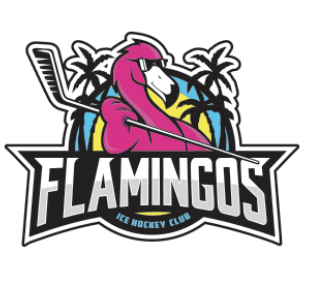 Team Logo Image