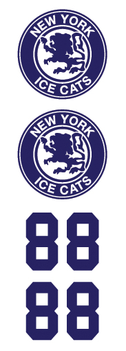 New York Ice Cats Hockey