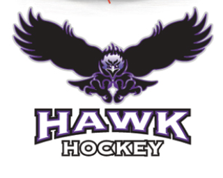 Team Logo Image