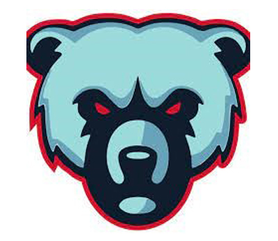 Team Logo Image