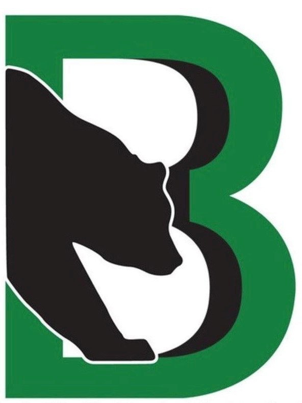 Team Logo Image