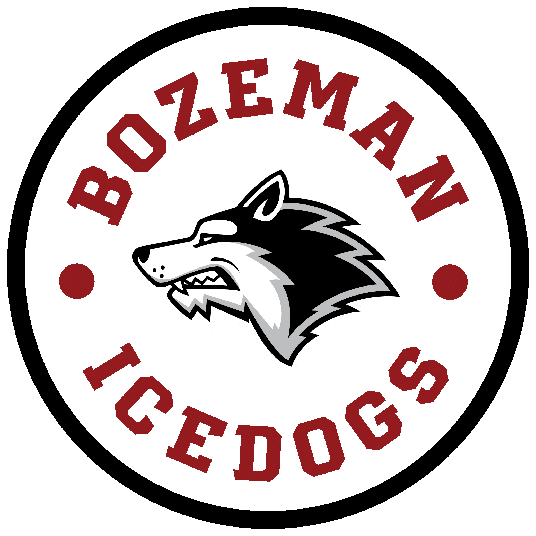 Team Logo Image