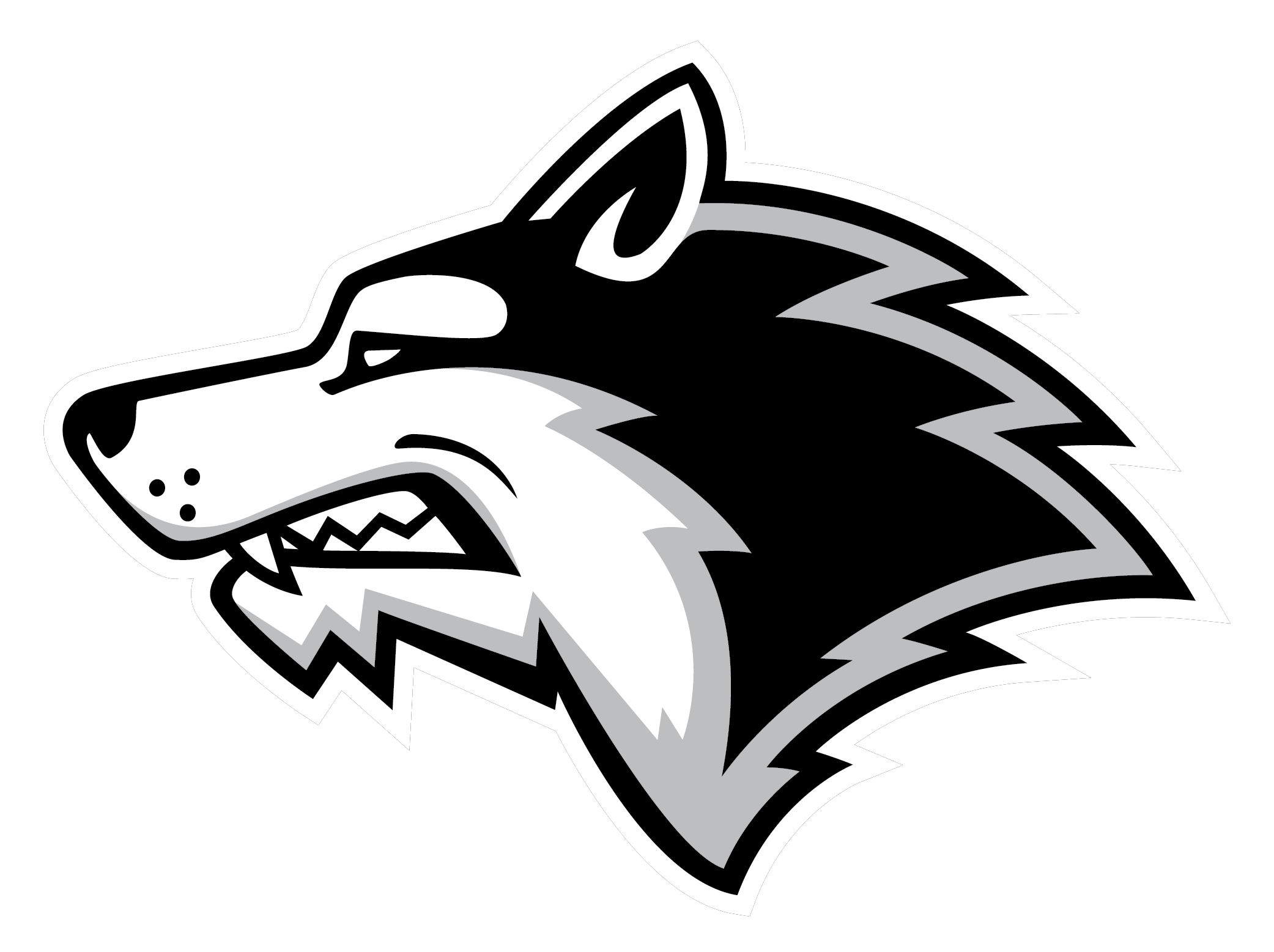 Team Logo Image