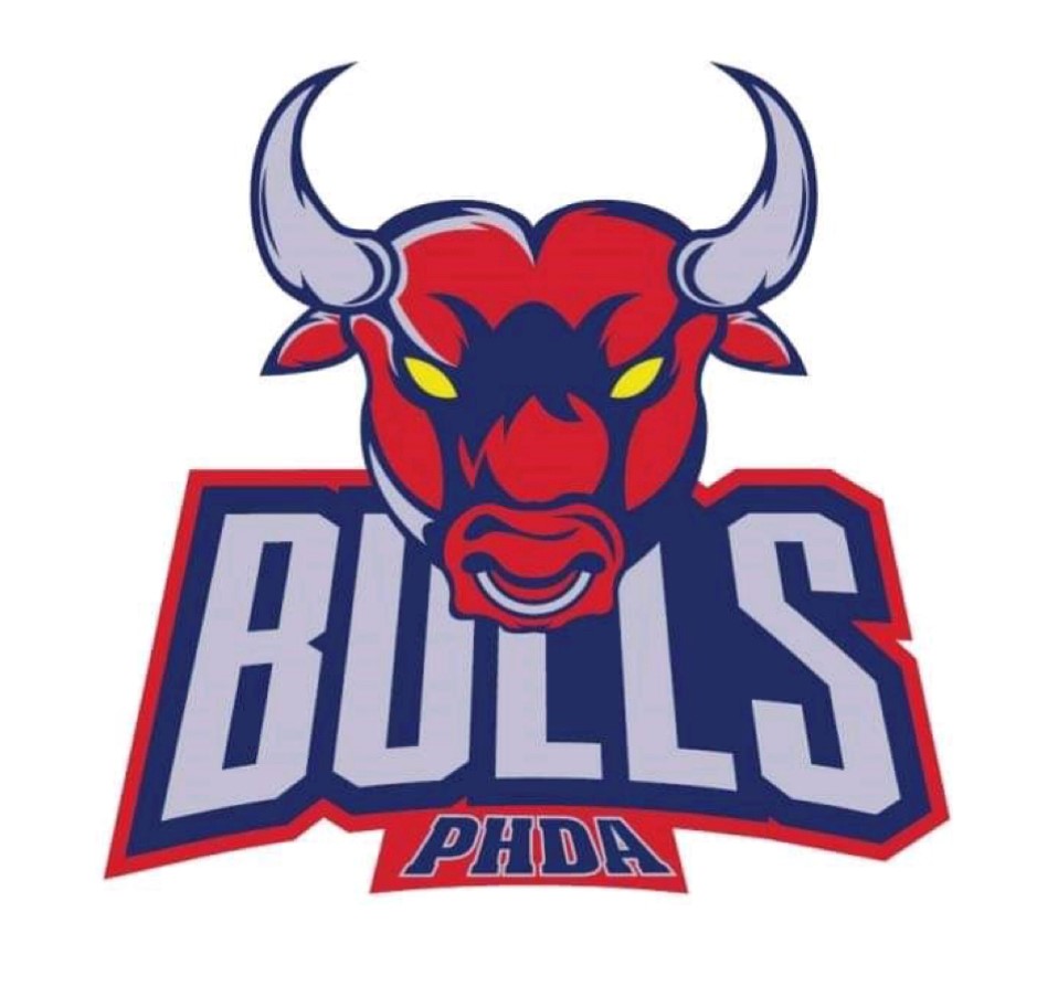 Team Logo Image