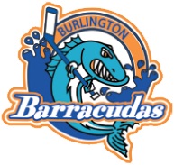 Team Logo Image