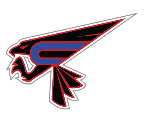 Team Logo Image