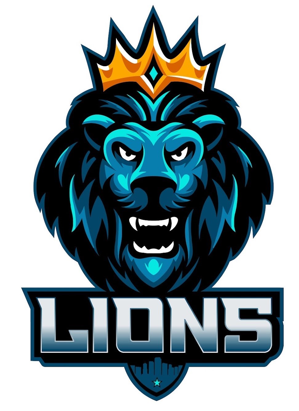 Team Logo Image