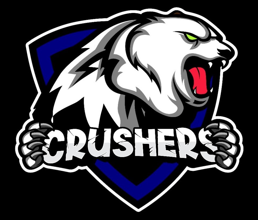 Team Logo Image