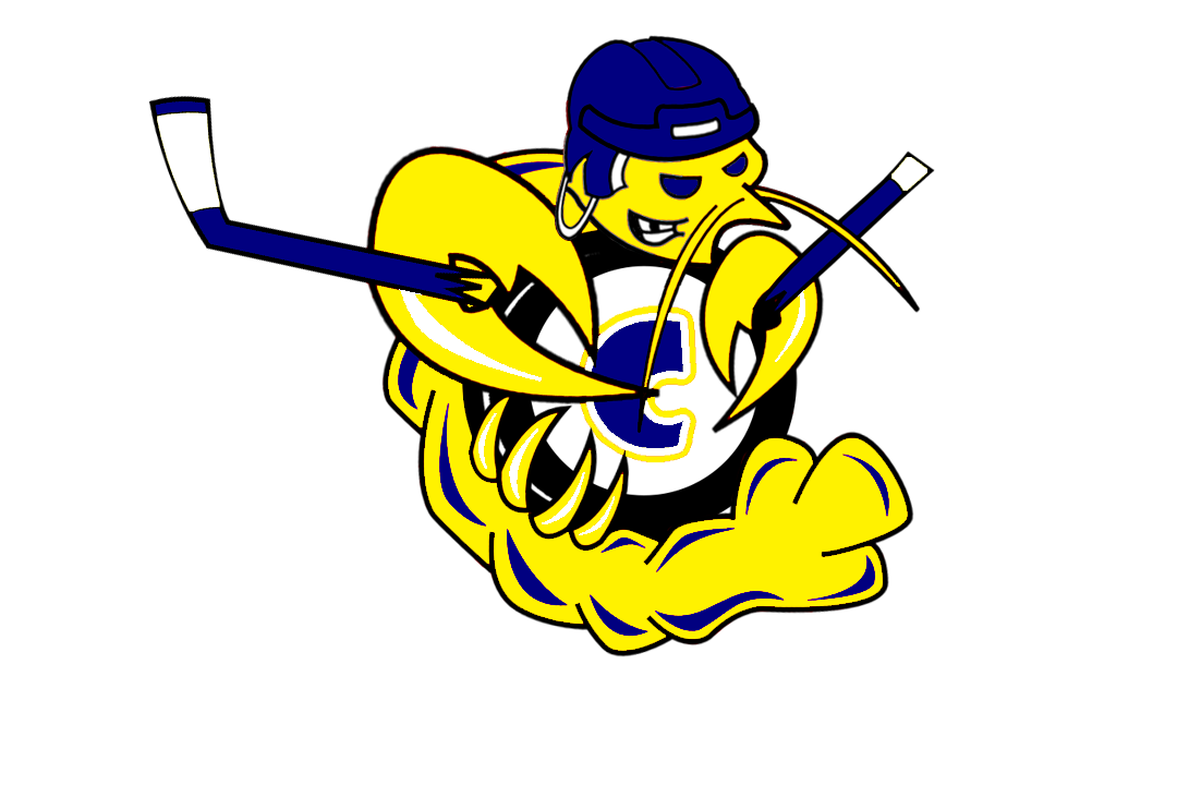 Team Logo Image